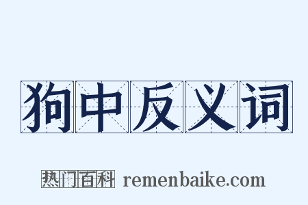 狗中反义词是什么意思的图片